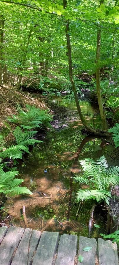 Onder De Eik Villa Ermelo Esterno foto