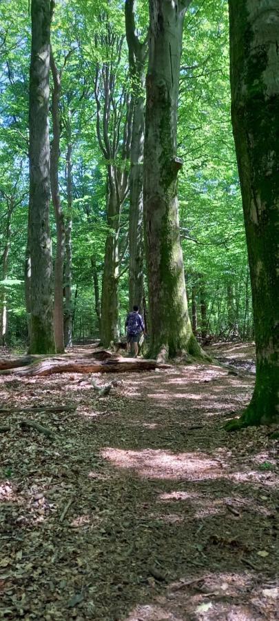 Onder De Eik Villa Ermelo Esterno foto